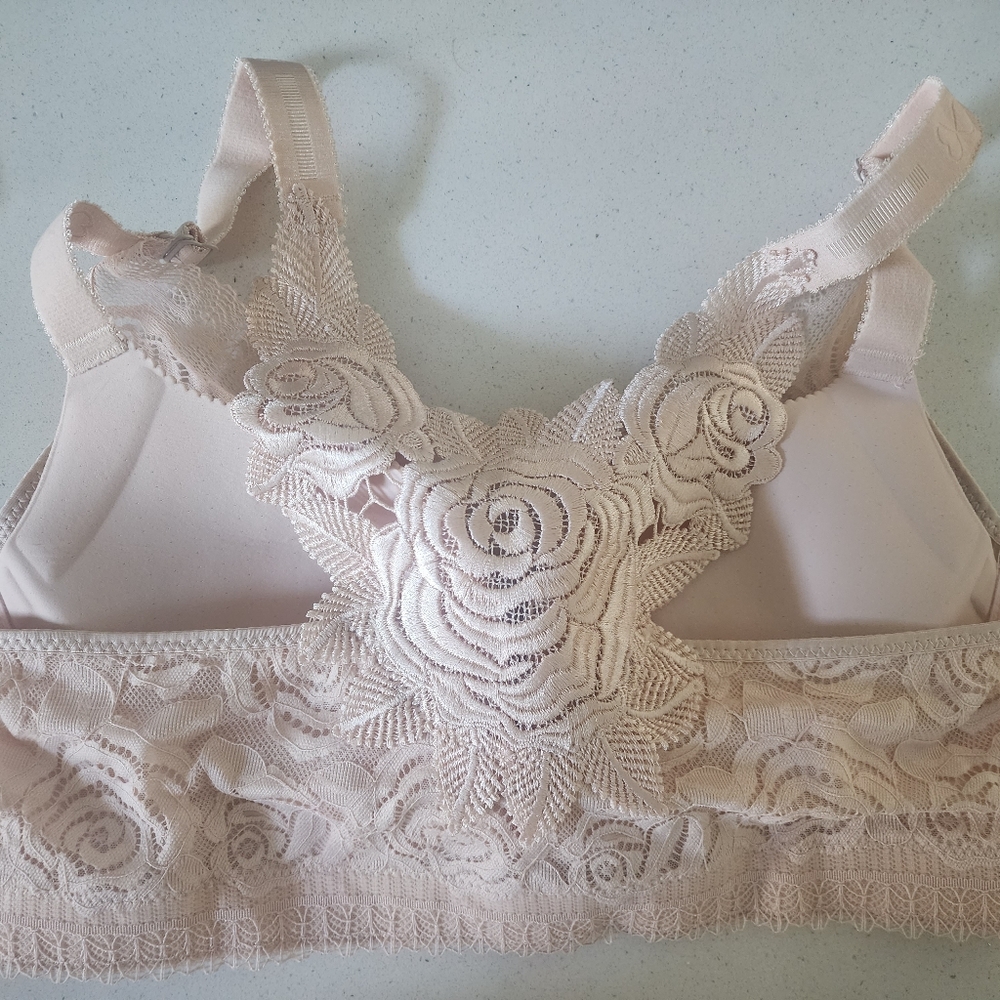 Floral Secrets Bra In Blush - Picture 3 of 3